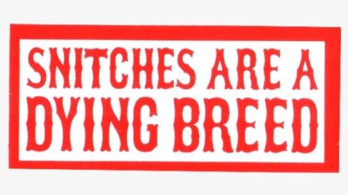 Snitches Are A Dying Breed - Bored Of Being Bored Because, HD Png Download, Transparent PNG