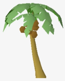 Osrs Palm Tree, HD Png Download, Transparent PNG