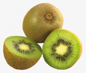 Now You Can Download Kiwi Icon Clipart - Kiwi Fruit Png, Transparent Png, Transparent PNG