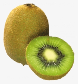 Download And Use Kiwi Icon Clipart - Kiwi Fruit Images Download, HD Png Download, Transparent PNG