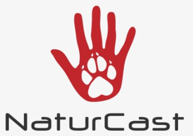Hand, HD Png Download, Transparent PNG