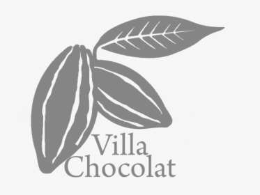 Villa Chocolat Bali - Graphic Design, HD Png Download, Transparent PNG