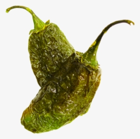 Fried Jalapeno - Tabasco Pepper, HD Png Download, Transparent PNG