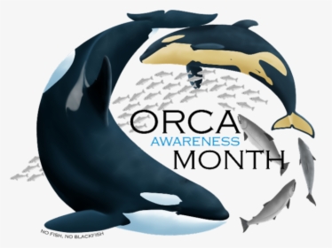 Southern Resident Orca Body, HD Png Download, Transparent PNG