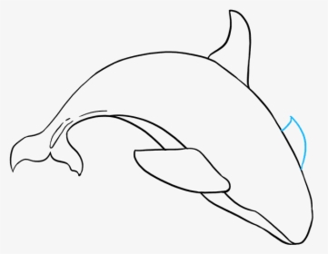 How To Draw Orca, HD Png Download, Transparent PNG