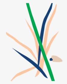 Illustration, HD Png Download, Transparent PNG