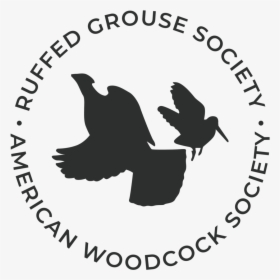 Ruffed Grouse Society & American Woodcock Society Logo - Ruffed Grouse Society Logo, HD Png Download, Transparent PNG