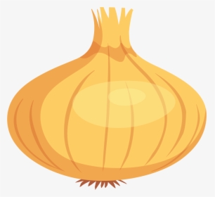 Garlic, HD Png Download, Transparent PNG