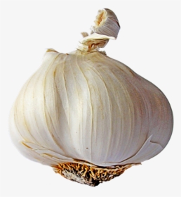 Garlic Transparent Background, HD Png Download, Transparent PNG
