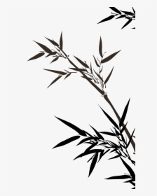 Clip Art Leaves Transprent - Bamboo Drawing Png, Transparent Png, Transparent PNG