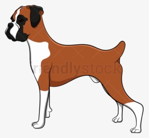 Dog Proud Boxer Vector Cartoon Clipart Transparent - Dog Boxer Clip Art, HD Png Download, Transparent PNG