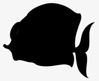 Transparent Big Fish Clipart, Big Fish Png Image - Illustration, Png Download, Transparent PNG