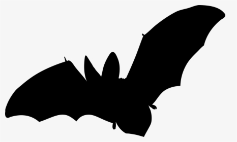 Bat, Mammal, Flying, No Background, Vector - Fledermaus Aufkleber, HD Png Download, Transparent PNG