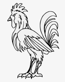 And White,art - Rooster, HD Png Download, Transparent PNG