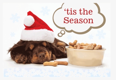 Peace & Joy Dog Bones - Weihnachts Hundekekse, HD Png Download, Transparent PNG