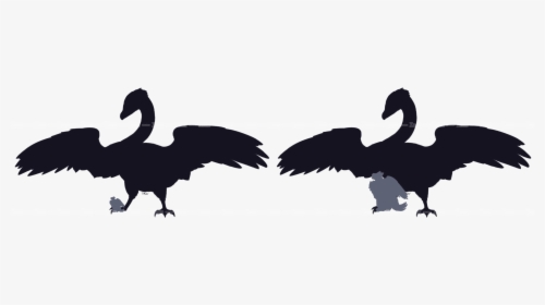 Beak Bird Crane Feather Silhouette - Illustration, HD Png Download, Transparent PNG