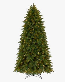 Fir Tree Png Hd Background - Christmas Tree, Transparent Png, Transparent PNG