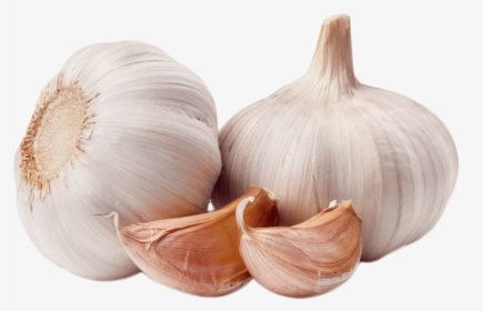 Garlic Duo - Garlic Png, Transparent Png, Transparent PNG