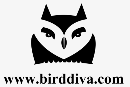 Bird Head Png, Transparent Png, Transparent PNG