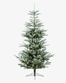 Fir-tree Download Transparent Png Image - Christmas Tree, Png Download, Transparent PNG