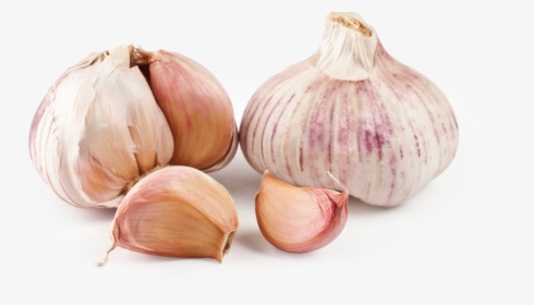 Spring Garlic - Ajo En Png, Transparent Png, Transparent PNG