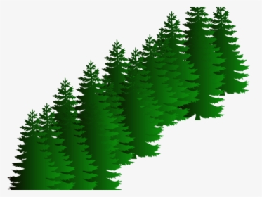 Fir Clipart Evergreen Tree - Sasquatch Svg, HD Png Download, Transparent PNG