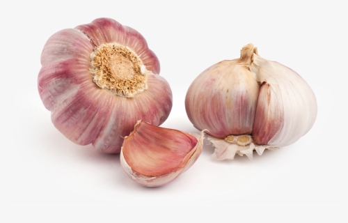 Ajo Morado Png - Garlic Purple, Transparent Png, Transparent PNG