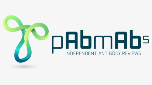 Logo Antibody, HD Png Download, Transparent PNG