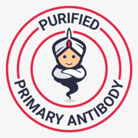 Antibody, HD Png Download, Transparent PNG