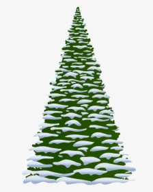 Fir Tree Clipart Oregon Tree - Christmas Tree With Snow Clipart, HD Png Download, Transparent PNG