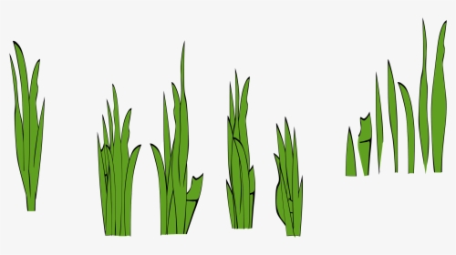 Grass Blades Png - Grass Clip Art, Transparent Png, Transparent PNG