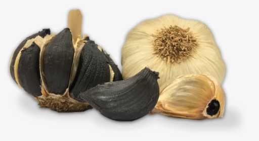 Ajo Negro Pedroñete - Black Garlic Png, Transparent Png, Transparent PNG