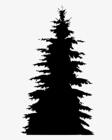 Pine Tree Silhouette, HD Png Download, Transparent PNG