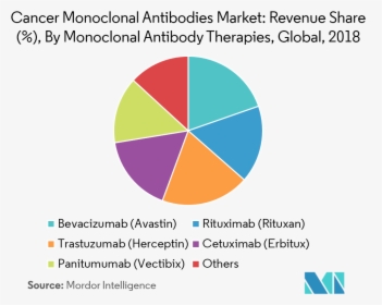 Market Share Monoclonal Antibodies, HD Png Download, Transparent PNG