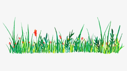 Euclidean Vector Icon - Grass Watercolor Png, Transparent Png, Transparent PNG