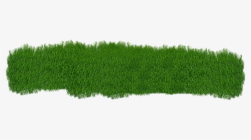Grass, Green, Plant, Green Grass, Nature - Green Lawn Png, Transparent Png, Transparent PNG