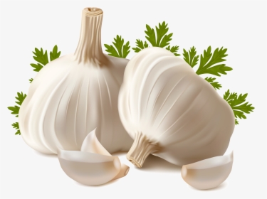 Garlic Png Image - Garlic Png, Transparent Png, Transparent PNG