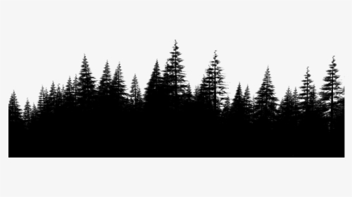Forest Png File Download Free - Pine Forest Png, Transparent Png, Transparent PNG
