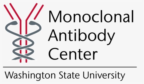 Mab Badge - Wsu Monoclonal Antibody Center Logo, HD Png Download, Transparent PNG