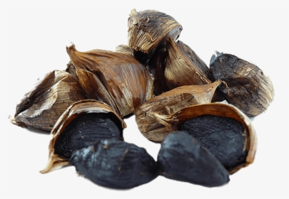 Ajo Negro - Black Garlic Png, Transparent Png, Transparent PNG
