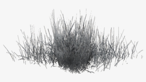 Black White Pattern - Black Color Grass Png, Transparent Png, Transparent PNG