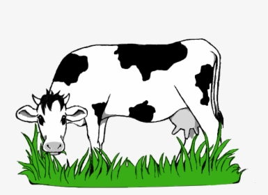 Black And White Stock Collection Of Grazing High Quality - Cow Eating Grass Png, Transparent Png, Transparent PNG