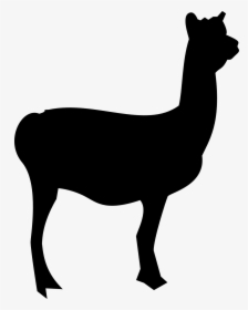 Llama, Mammal, Animal, Silhouette - Llama Outline, HD Png Download, Transparent PNG