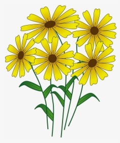 Transparent Cartoon Daisy Flower
