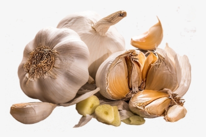 Ajo - 20 Health Benefits Of Garlic, HD Png Download, Transparent PNG
