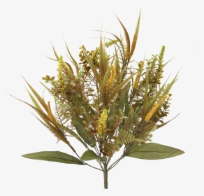 Fall Plastic Mix Grass Bush X - Protea, HD Png Download, Transparent PNG