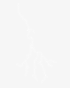 Johns Hopkins White Logo, HD Png Download, Transparent PNG