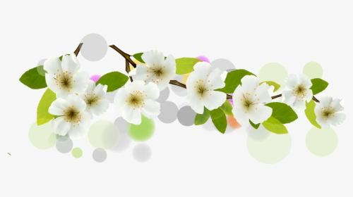 Transparent Banners Vector Png - White Flower Vector Png, Png Download, Transparent PNG