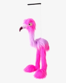 The Puppet Company Flamingo Marionette Characters - Greater Flamingo, HD Png Download, Transparent PNG