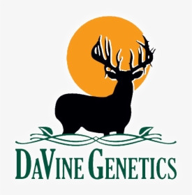 Davine Genetics 2020 Web Logo - Elk, HD Png Download, Transparent PNG